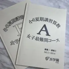 2025年最新】浜学園 夏期講習 小6 最難関 女子の人気アイテム