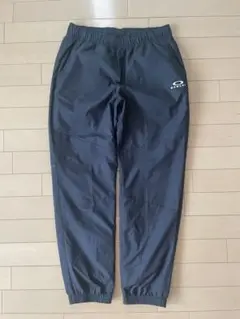Item thumbnail for item ca0dfff1-8e01-42ea-bf93-cb72a035172e