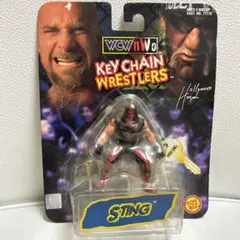 WWE NWO WCW AEW スティング プロレス フィギュア ⭕AEW フィギュア スティング 限定 Sting WWE WCW e442