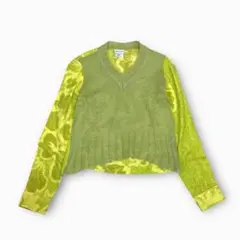 Item thumbnail for item 06a26fe0-f561-48fe-be9a-9fec25a8a160