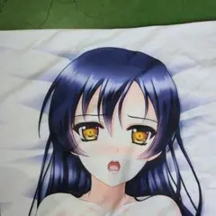 ラブライブ クッションカバー・ブランケット 園田海未調 バニーver. 新品 Amazon.co.jp: コトブキヤ ラブライブ! School idol project