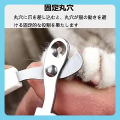Item thumbnail for item a25f1e70-2df9-4142-8b1c-84a78e3b612c