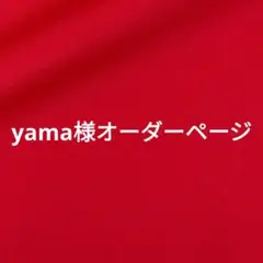 yama様オーダーページ　バッグインバッグ
