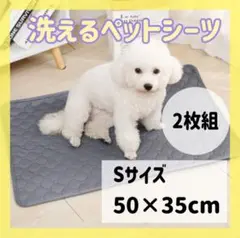Item thumbnail for item 222c2614-268d-41ba-a36d-40e4eb561560