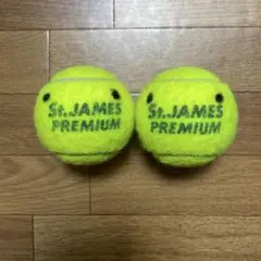 セントジェームステニスボール　2個 送料無料