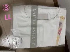 Item thumbnail for item a348bf78-21d2-475c-9b44-5bcfa24a4cd5