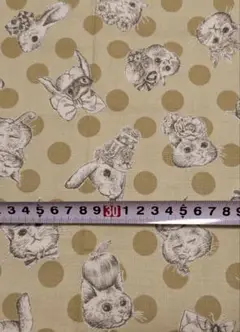 ●ジョリーフルール●ワンダーラビット●ベージュ系●５０ｃｍ●延長可●