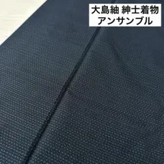 大島紬 紳士着物 アンサンブル 着物 正絹 RK-3151