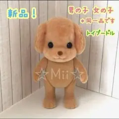 ★新品【シルバニア ファミリー】トイプードル トイプー 男の子 女の子 本体のみ