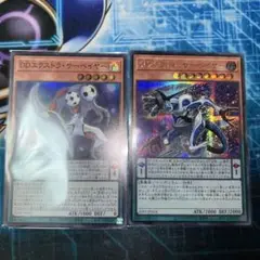 遊戯王　DDカウント・サーバイヤー