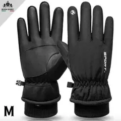 Item thumbnail for item 7f99f58b-da73-44bd-bc0c-e88af96b5293