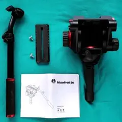 Item thumbnail for item edfb351b-2c3a-4901-ada7-2f0eca7efa21