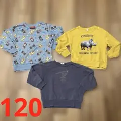 １２０センチパウパトロール恐竜サイ長袖トレーナーまとめ売り