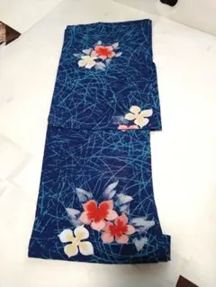 大正ロマン　夏着物　雲輪露芝と南国花　絽