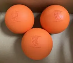 Item thumbnail for item 6b95f15b-f252-4d57-8537-ec2ca4fbcae3