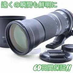 Item thumbnail for item 44a3f92d-c1d2-45dd-b0b9-ed97fdf949f1