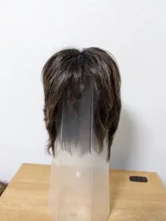 Item thumbnail for item 9a8e9d26-13a7-4737-b415-171bdb50c2dd