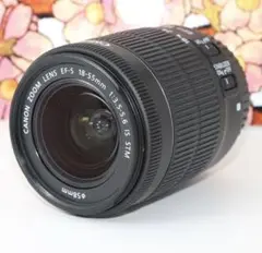 ❤️定番❤️Canon EF-S 18-55mm f3.5-5.6 IS STM❤️