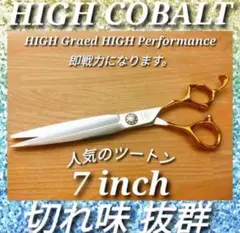 Item thumbnail for item afaf0c59-aa60-4208-8c9d-1c5e577f7fe4