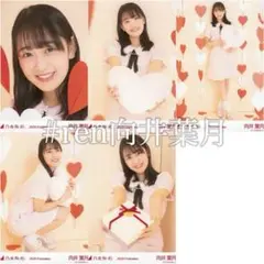 向井葉月 2020.Valentine コンプ