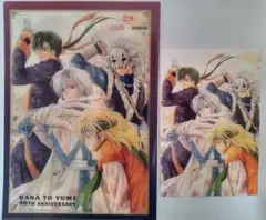【値下げ中】暁のヨナ　四龍　ファイル　ポスカ カード　特典 非売品