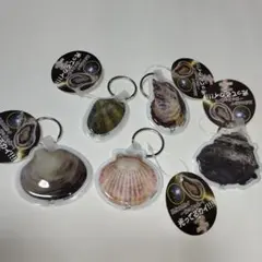 Item thumbnail for item e9c1c3ee-d0e9-49d0-a561-4f3763951580