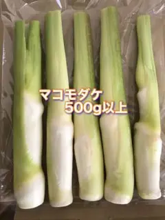 マコモダケ 500g以上 39
