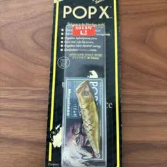 2025年最新】POP-X 巳の人気アイテム - メルカリ
