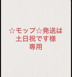 ☆モップ☆発送は土日祝です。様専用