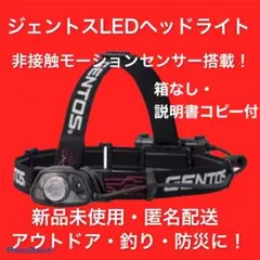 大人気!箱なしジェントスLEDヘッドライト キャンプ 釣り防災 アウトドア