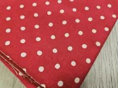 大大大SALE✨【廃番】【1点のみ♡】綿麻キャンバス 赤ドット