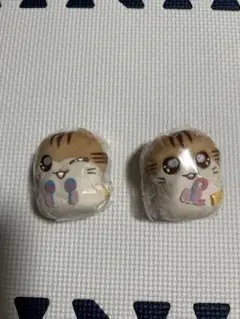 かぷっこふれんず2 トラハム兄妹