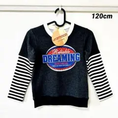 Item thumbnail for item 2cfbcc55-7e7e-48e8-b9db-2c993bf7e1f1