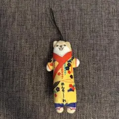 沖縄限定 のびしば