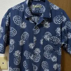 Item thumbnail for item d34e1192-4acc-430a-a333-dda521178d59