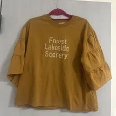 レディース　カットソー　Tシャツ　ティアード袖