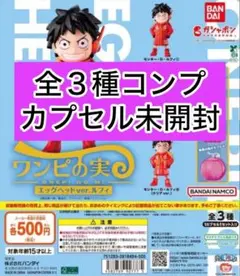 ワンピの実　エッグヘッド　ルフィ　ノーマル　クリア　メタリック　全種コンプリート