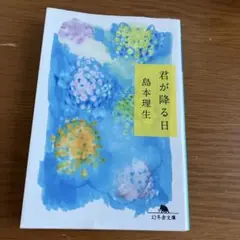 君が降る日