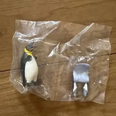 どうぶつサウナ11 ペンギン　未開封