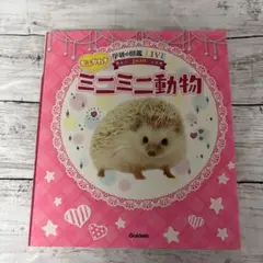 もふかわ☆ミニミニ動物