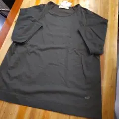 クロコダイル プレーティング天笠ラグランTシャツ