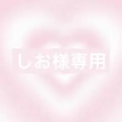 しお様 リクエスト 3点 まとめ商品