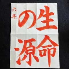 JA共済書道コンクールお手本⭐︎六年　生命の源⭐︎