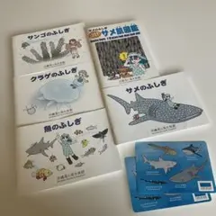 沖縄美ら海水族館限定！ふしぎシリーズ4冊+とびだす！サメ肌図鑑　セット