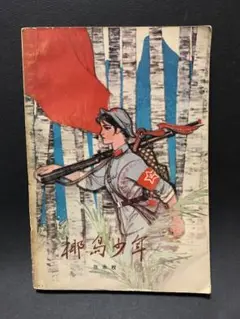 椰島少年　中国・文革時期の書籍