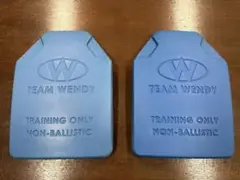 TEAM WENDY トレーニング用プレート 2枚セット Mサイズ 3/18まで チームウェンディ TEAM WENDY リアルウェイトダミープレート 2