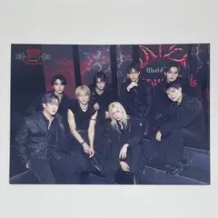 Stray Kids dominATE JAPAN ラントレ オール 集合
