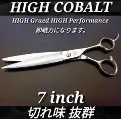 Item thumbnail for item 1b4625d2-dc1a-4e3c-a095-4c5c5624a0bd