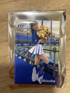 Item thumbnail for item 4ca493c6-0656-49a5-ab1c-67acdc05bf53