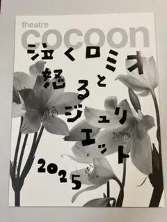 泣くロミオと怒るジュリエット 2025　パンフレット west. 桐山照史